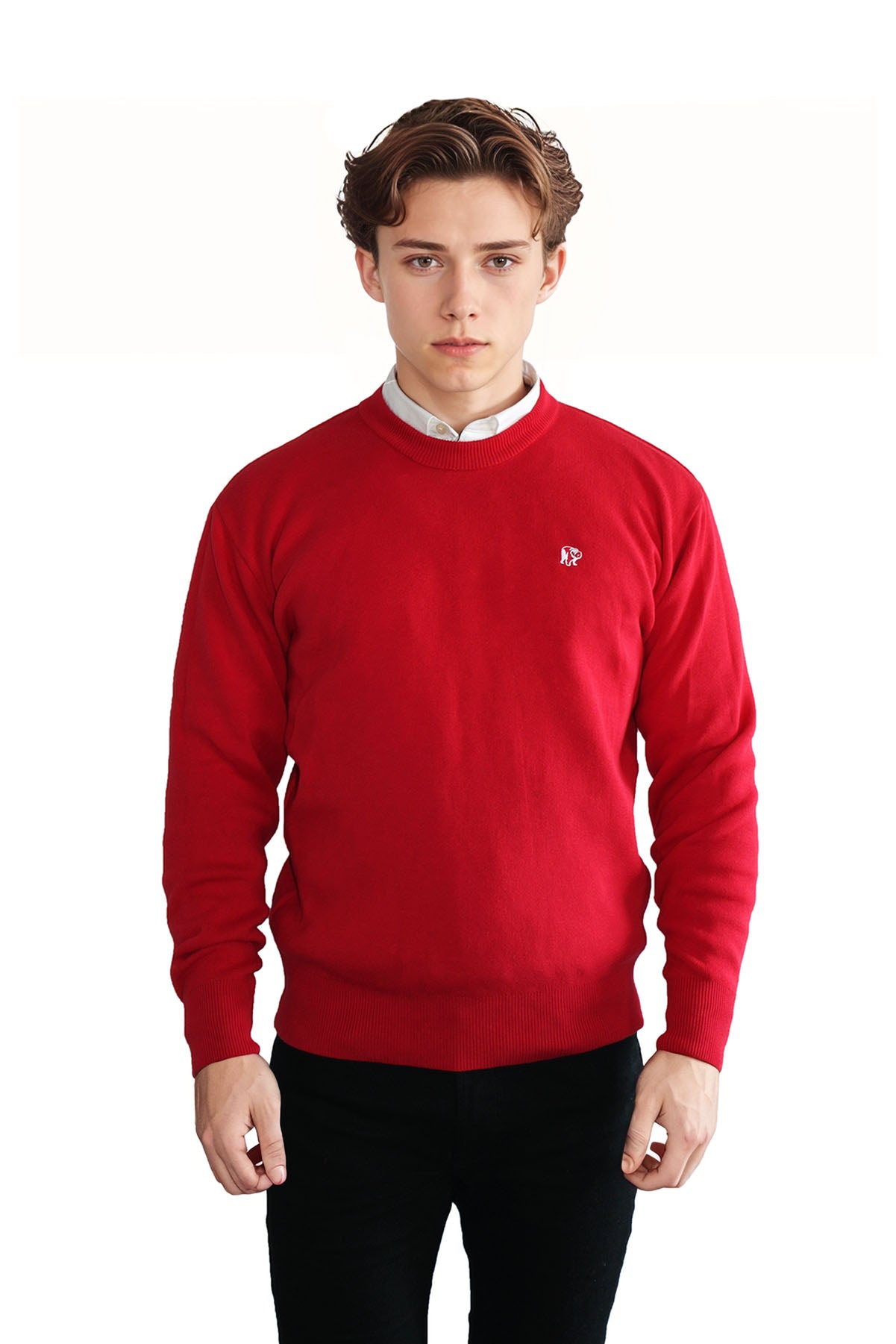 Crewneck Sweater